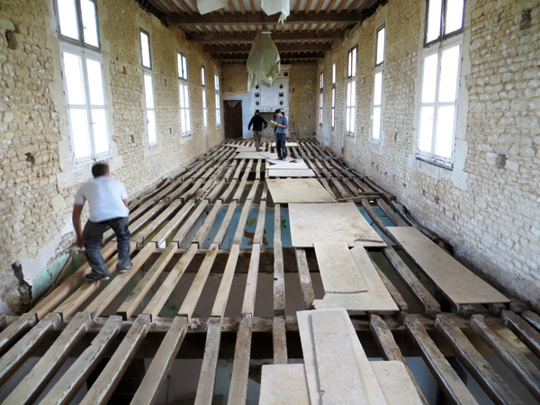 Diagnostic bois - Château Fresney Le Puceux (Reprise plancher intermédiaire)